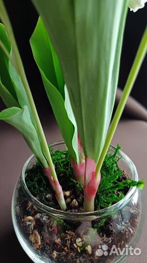 Ландыши из холодного фарфора