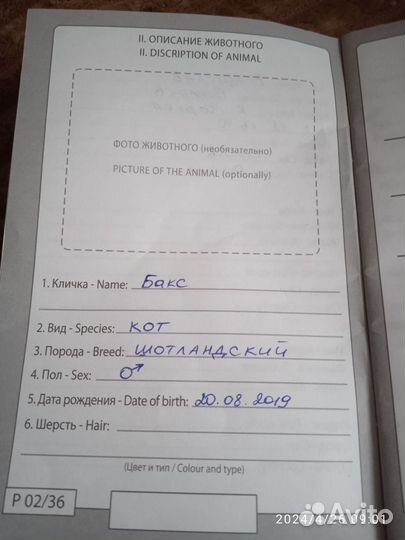 Британская