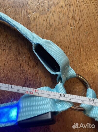 Светящиеся шлейка для собак