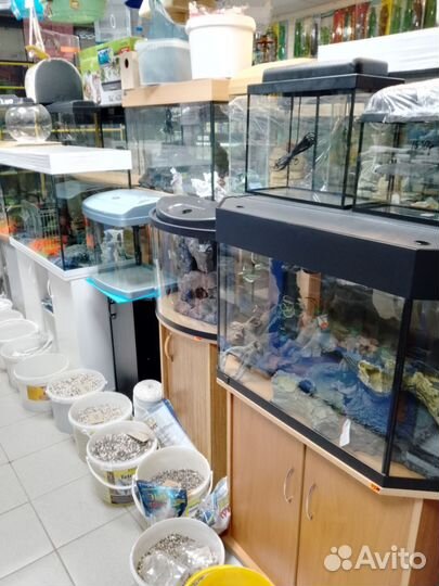 Аквариум