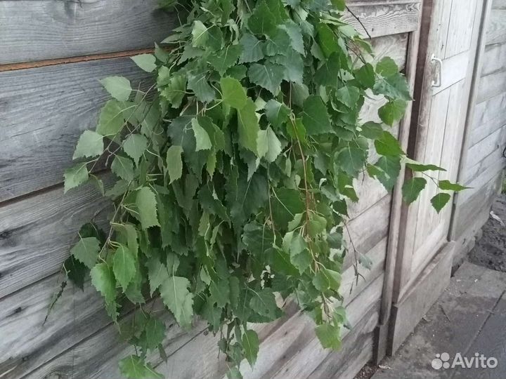 Веники для бани доставка