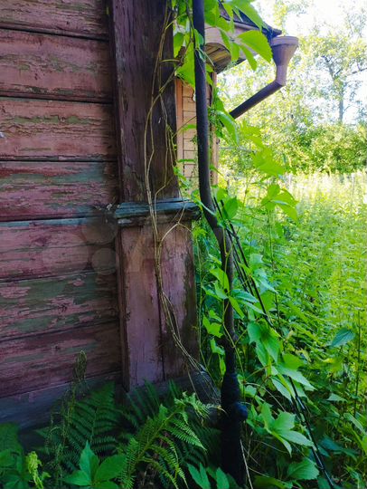 Дом 113,5 м² на участке 3,8 сот.