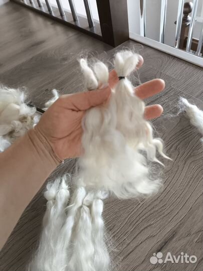 Локоны козочки