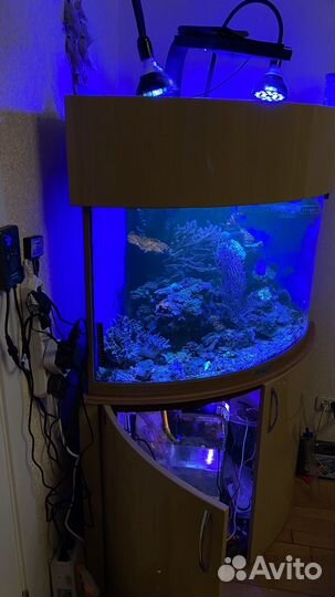 Морской аквариум угловой