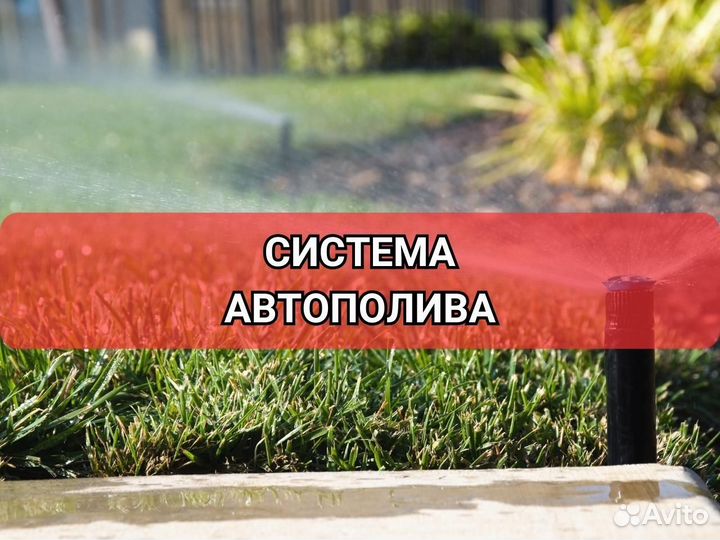 Рулонный газон/продажа/укладка