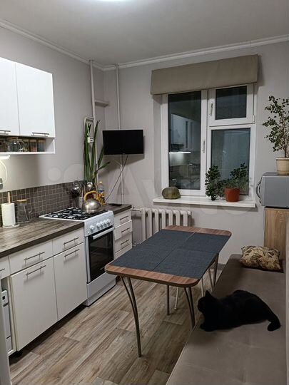 1-к. квартира, 39 м², 2/5 эт.