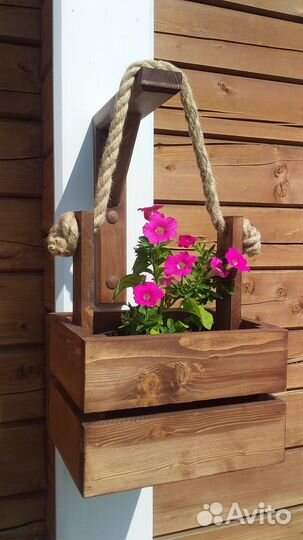 Петуния в кашпо