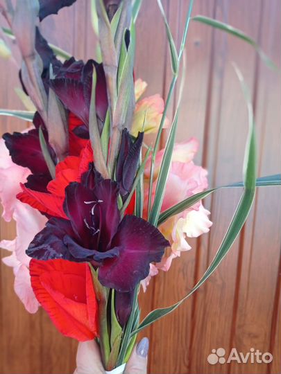 Гладиолусы букет