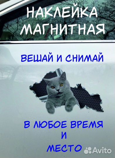 Наклейка магнитная (съёмная) на авто