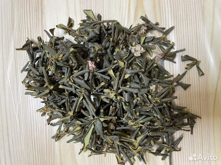 Саган-дайля