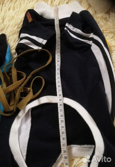 Одежда для собак таксы щенка, взрослой