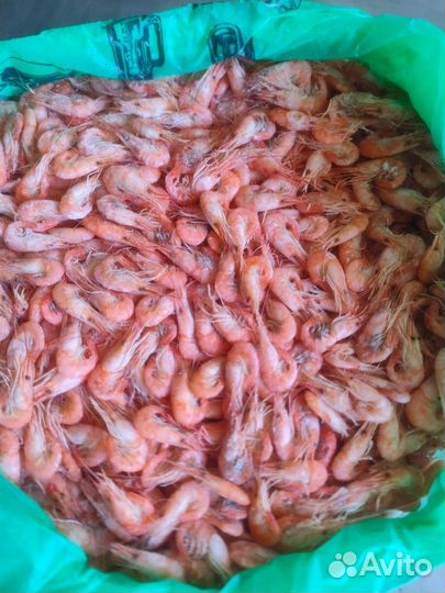 Креветка вареная сухой заморозки