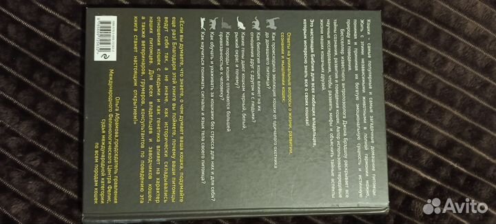 Тайная жизнь кошек