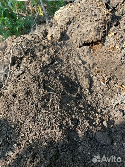 Чернозем, перегной, навоз перегной с доставкой