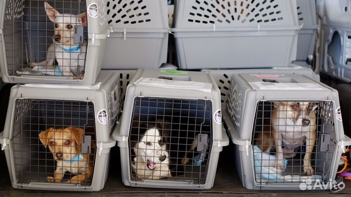 Клетки для собак. Большой ассортимент. В наличии