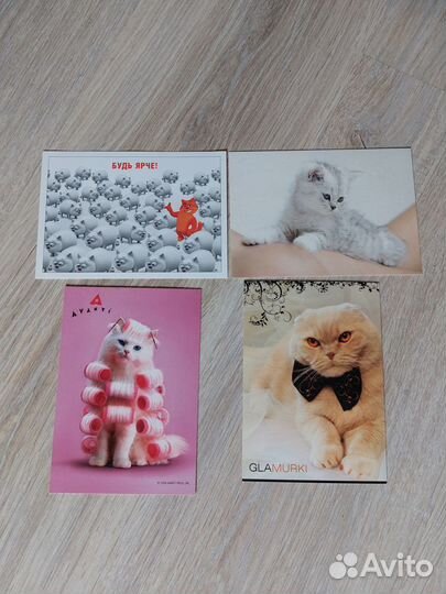 Карточки кошки и коты