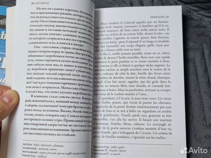 Книги (французский и английский)