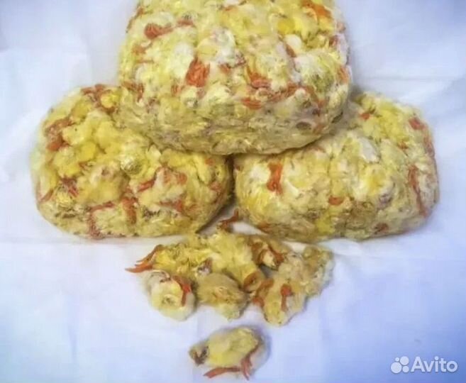 Суточные цыплята замороженные