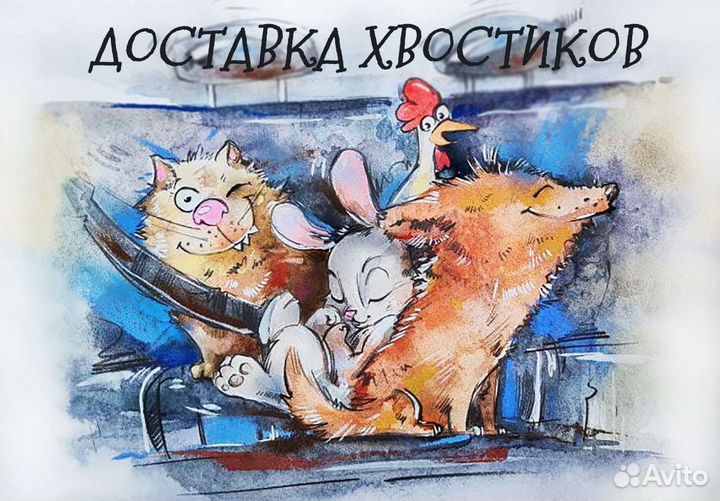 Первезка животных