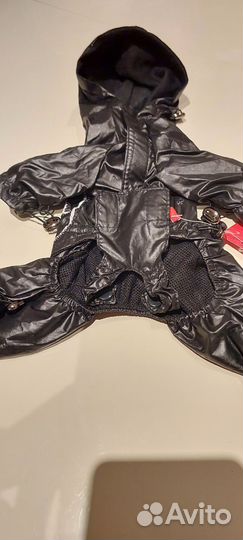 Комбинезон и кепочка для собачки