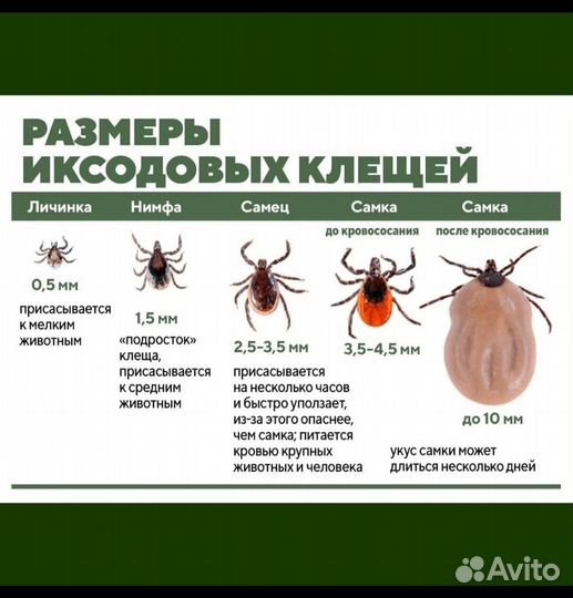 Обработка участка от клещей,комаров,мух(дезинсекци