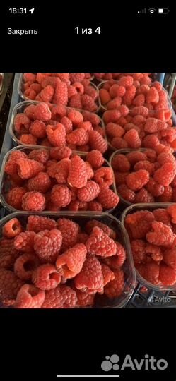 Саженцы малины Пшехиба