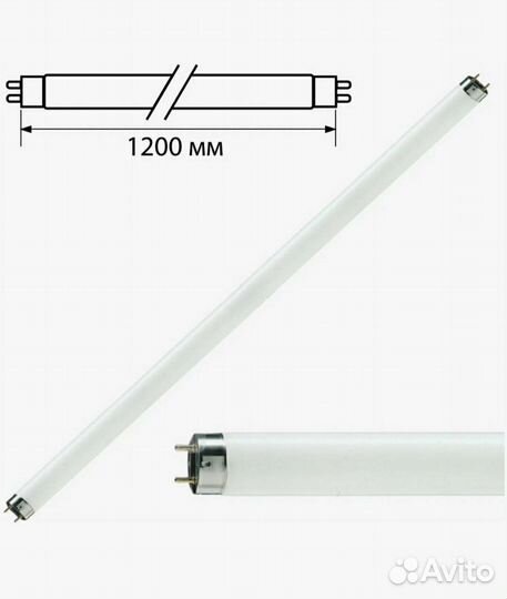 Лампа philips TL-D 36W/33-640, цоколь G13