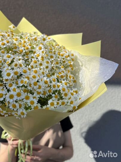 Ромашки букет цветов с доставкой