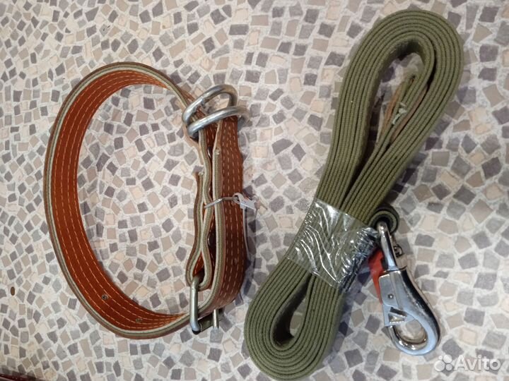 Ошейник и поводок