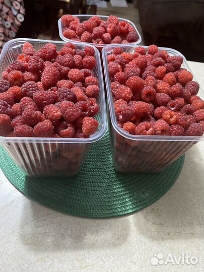 Малина саженцы