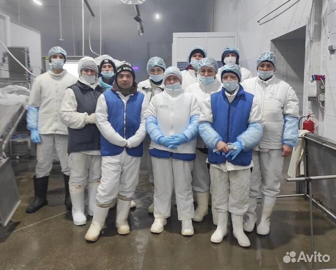 Разнорабочие вахта в крыму