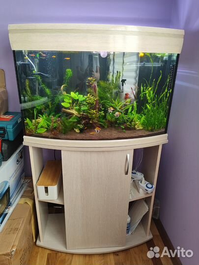 Аквариум панорамный 120-125 литров