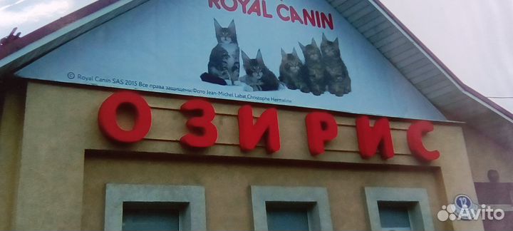 Наружная реклама (Изготовление/Монтаж/Ремонт)