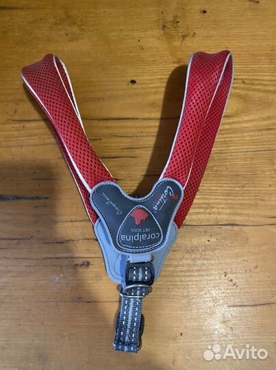 Шлейка для собаки