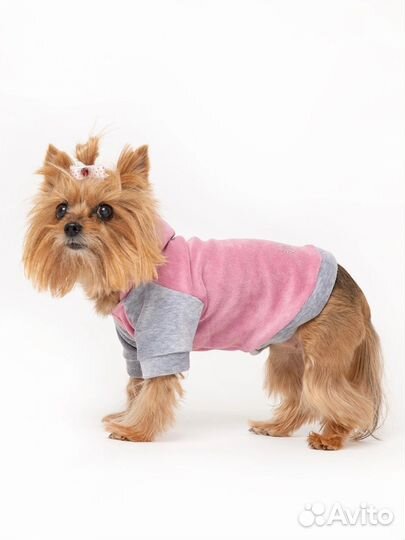 Одежда для собак и кошек (20-25р)