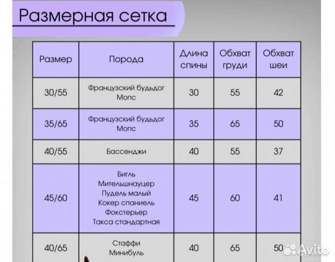 Комбинезон для маленькой собаки новый
