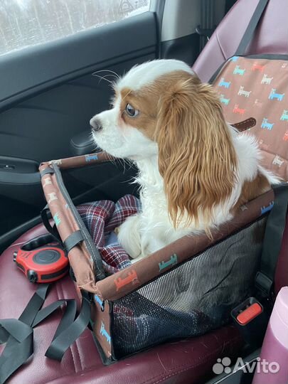Автокресло для собаки перевозка автогамак