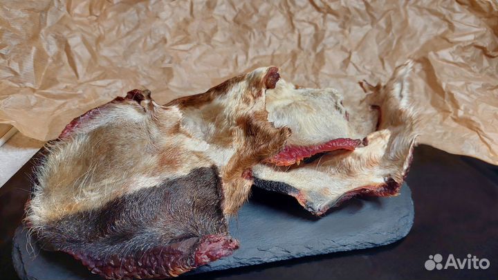 Лакомства для собак