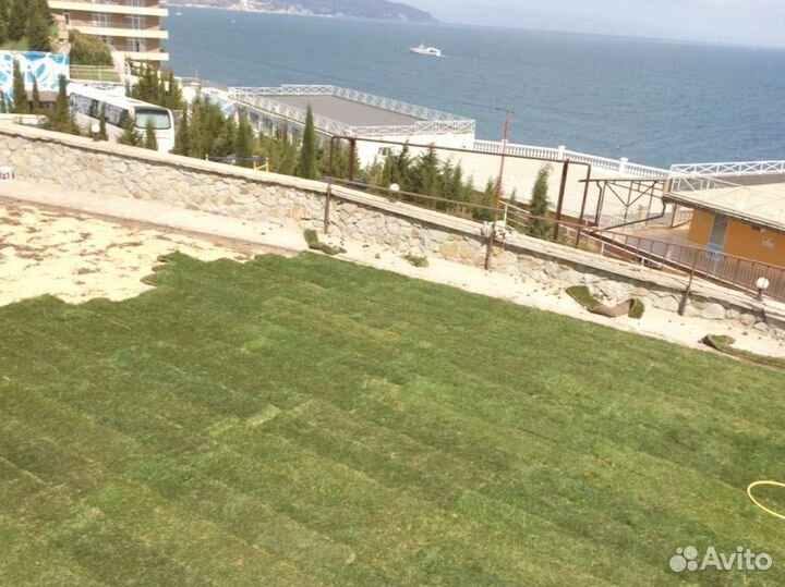 Рулонный газон