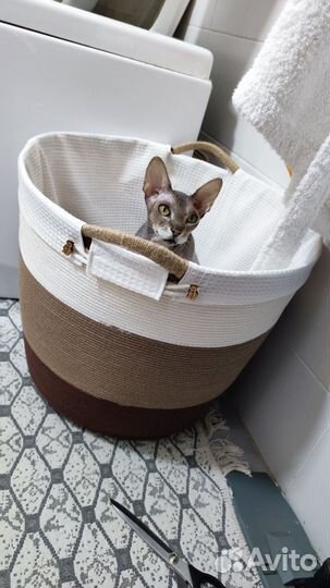 Корзина для белья