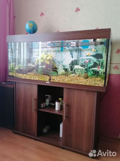 Аквариум 240 литров c тумбой и фильтром