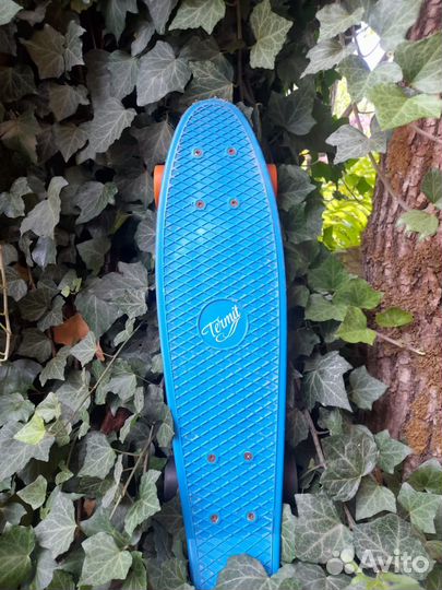 Скейт (мини-круизер Termit)