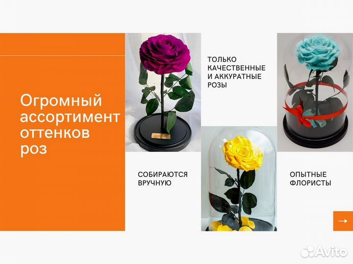 Розы в колбе на выбор