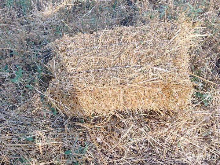Сено в тюках