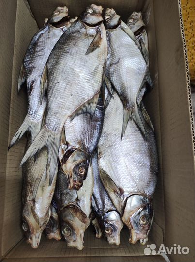 Лещ вяленый