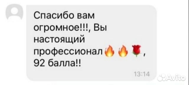 Репетитор по русскому языку и литературе с опытом