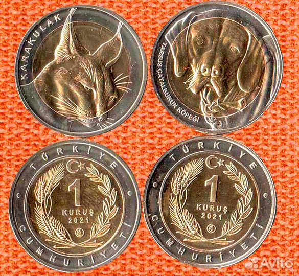 Красная книга Турции