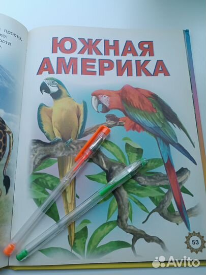 Детская книга про зверей и птиц