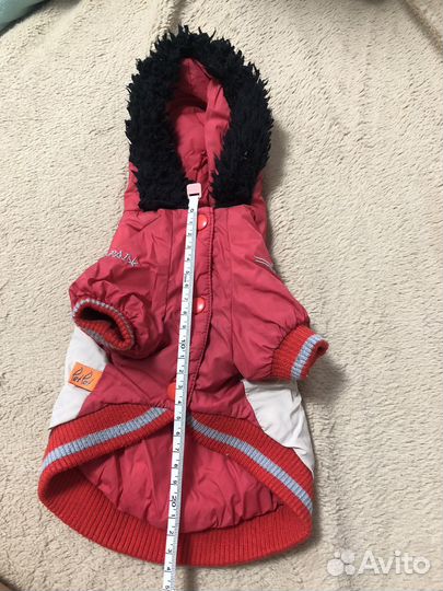 Одежда для собак