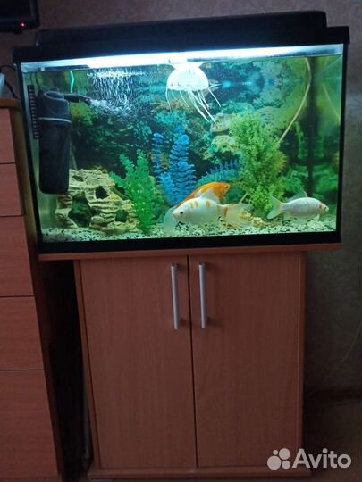 Аквариум